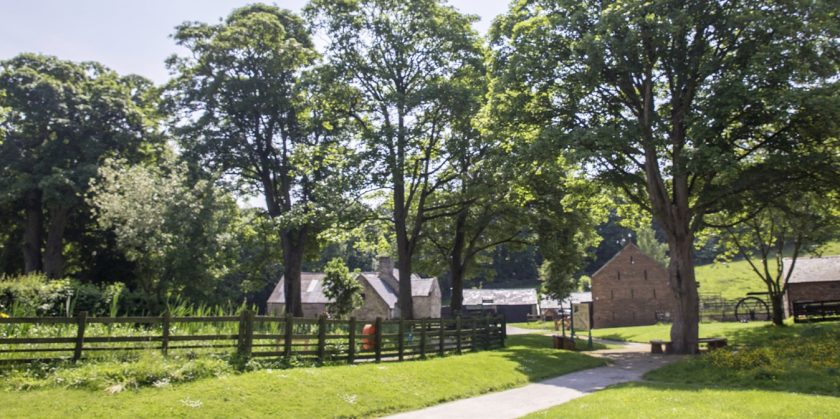 News and Info from Deeside, Flintshire, North Wales