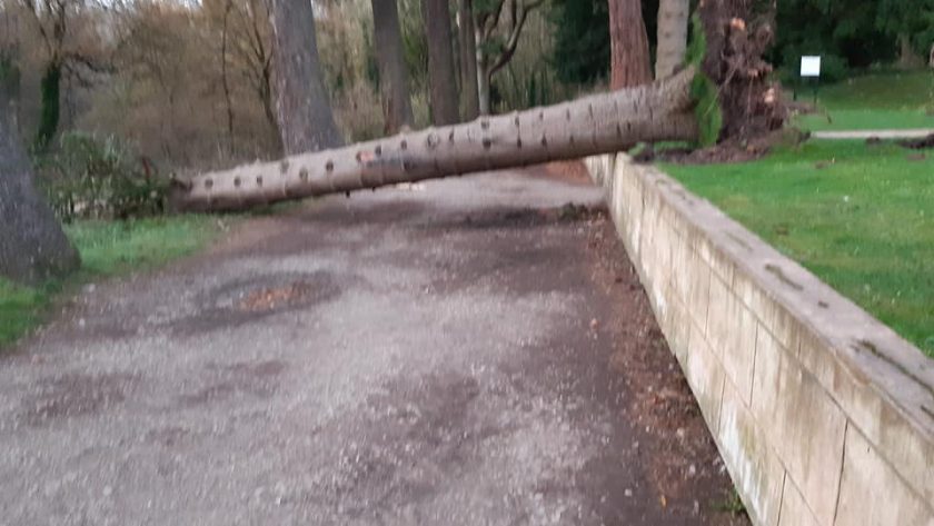News and Info from Deeside, Flintshire, North Wales