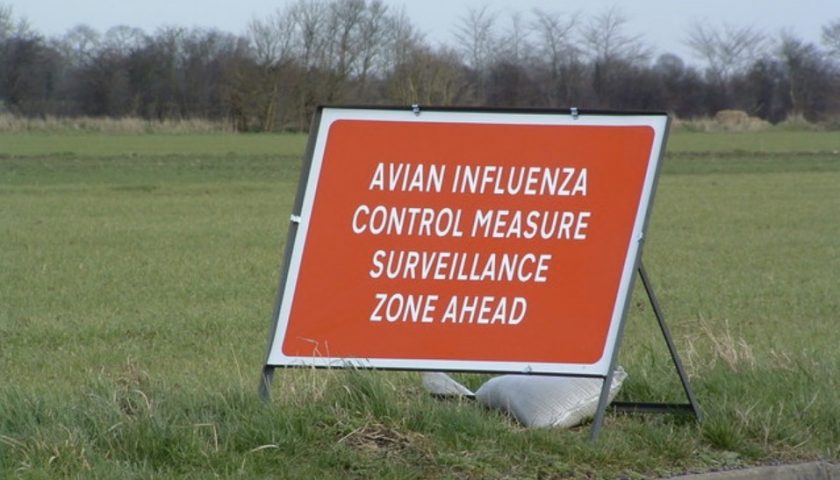 News and Info from Deeside, Flintshire, North Wales
