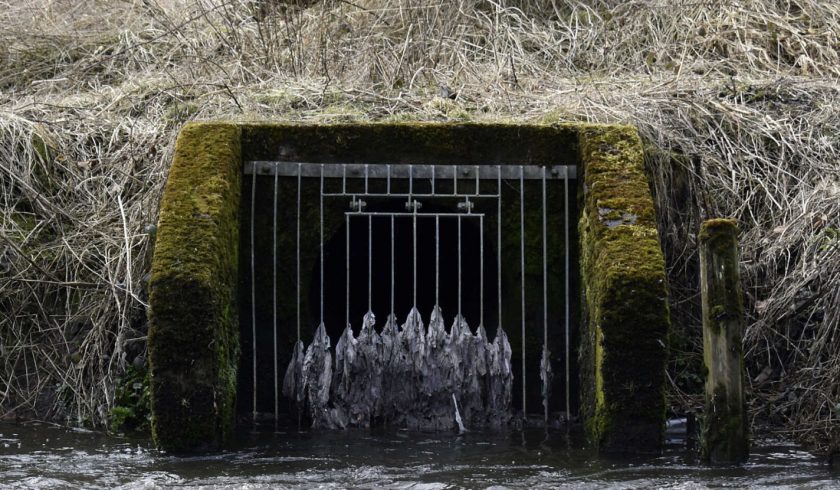 News and Info from Deeside, Flintshire, North Wales