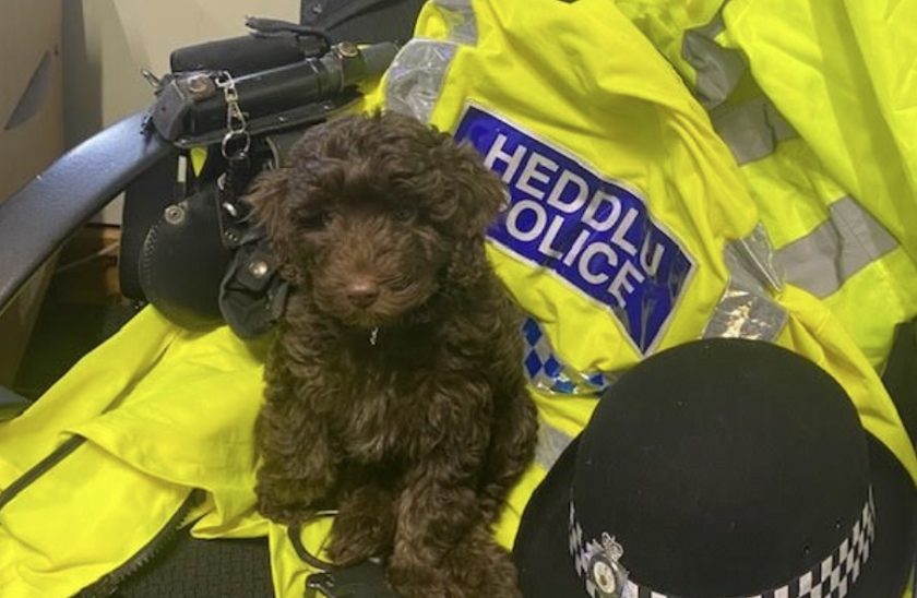News and Info from Deeside, Flintshire, North Wales