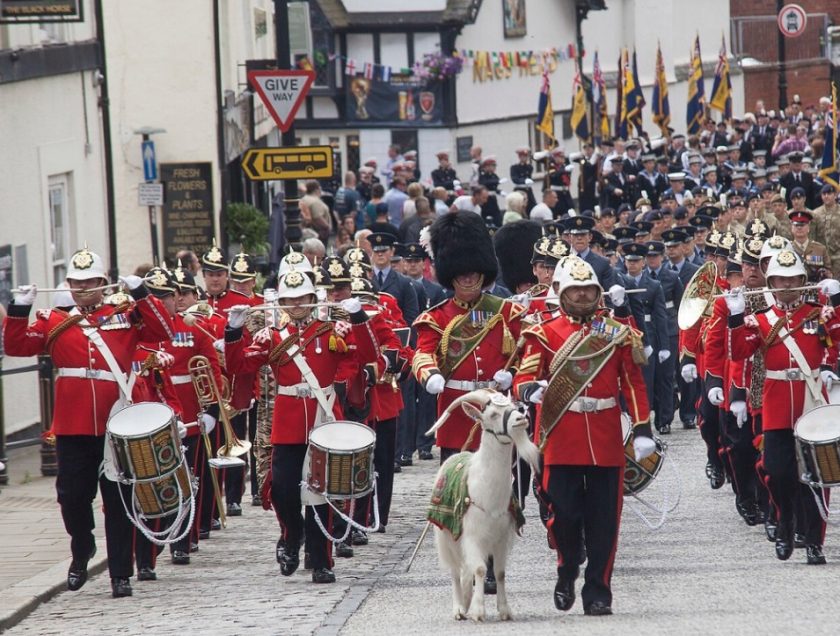 News and Info from Deeside, Flintshire, North Wales