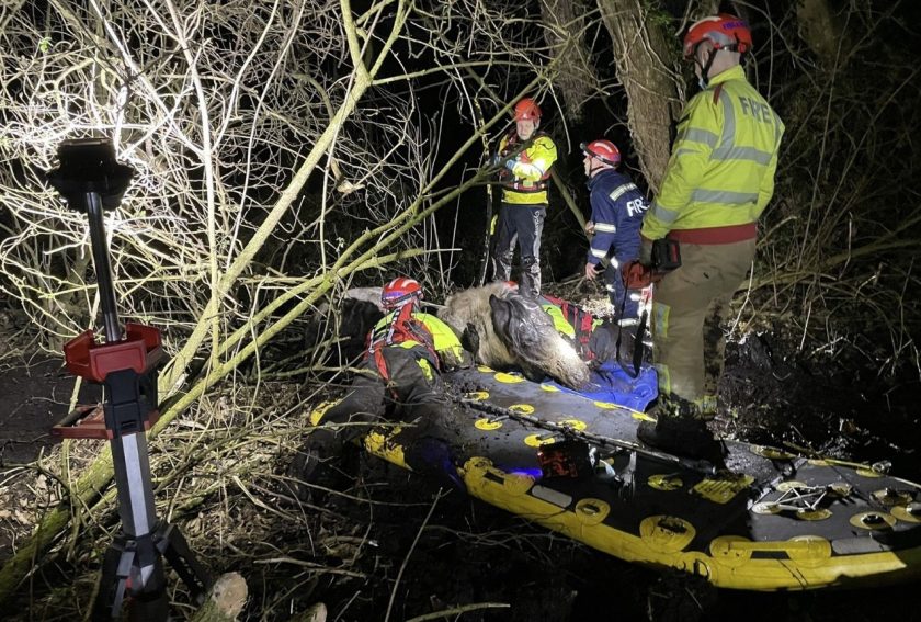 Fire crews rescue horse from a Shotwick field after becoming trapped in mud
