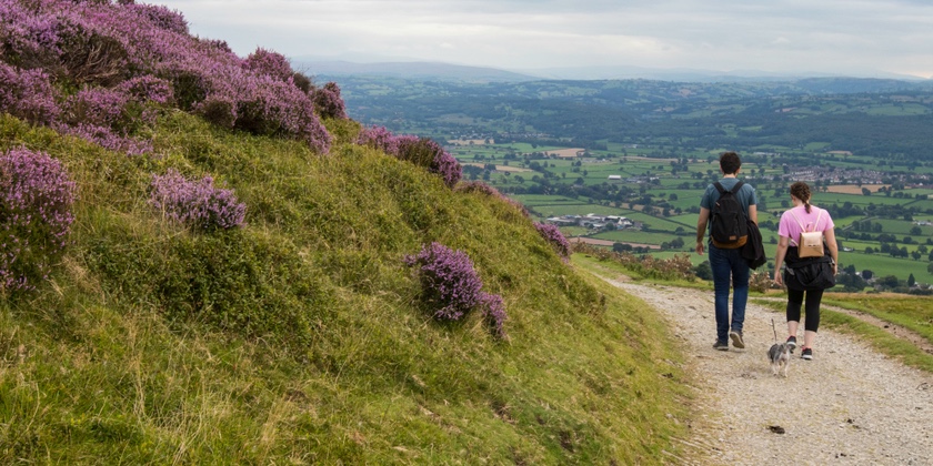 Public urged to have to their say on draft management plan for the Clwydian Range and Dee Valley