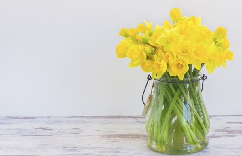 News and Info from Deeside, Flintshire, North Wales