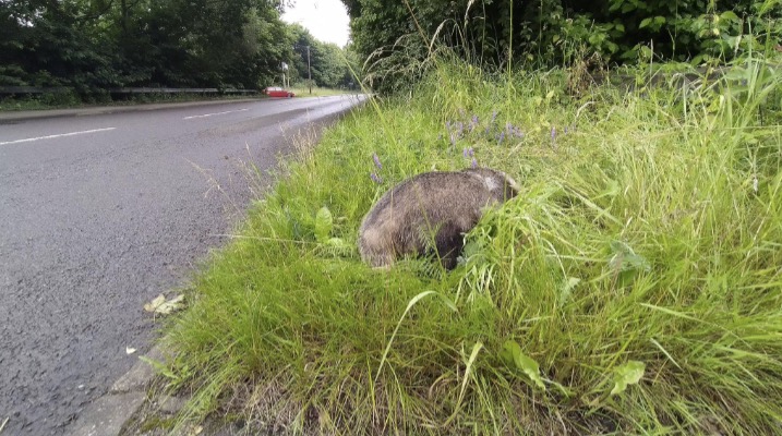 News and Info from Deeside, Flintshire, North Wales 