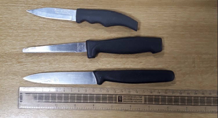 Teenager arrested in Hawarden after knives found in his bedroom and school bag