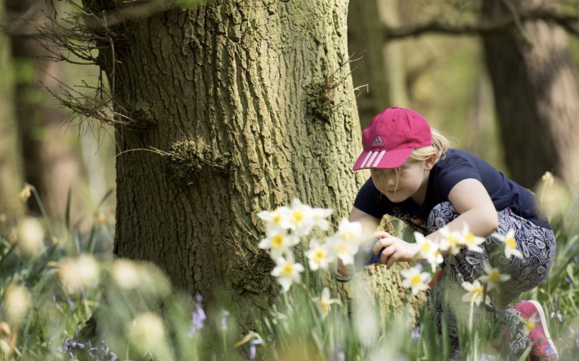 News and Info from Deeside, Flintshire, North Wales