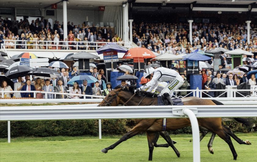 New campaign launched to ‘cultivate the relationship’ between racegoers and businesses within Chester city centre