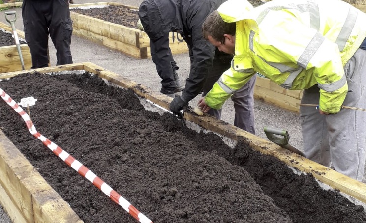 Deeside community garden renovated to provide green space for nature and biodiversity to thrive