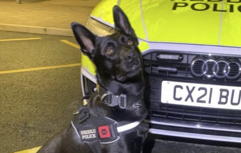 Praise for PD Guinness after finding man in need if urgent help