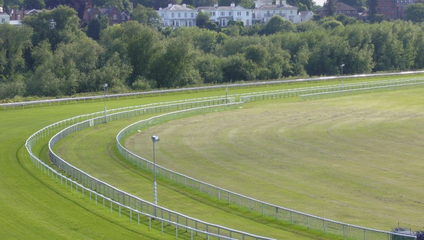 Man arrested following assault on pensioner walking her dog at Chester racecourse