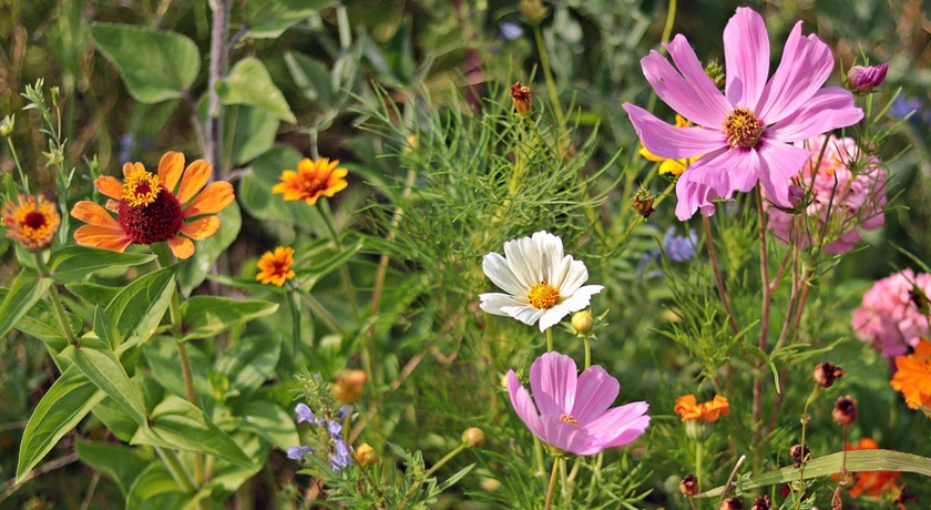 News and Info from Deeside, Flintshire, North Wales