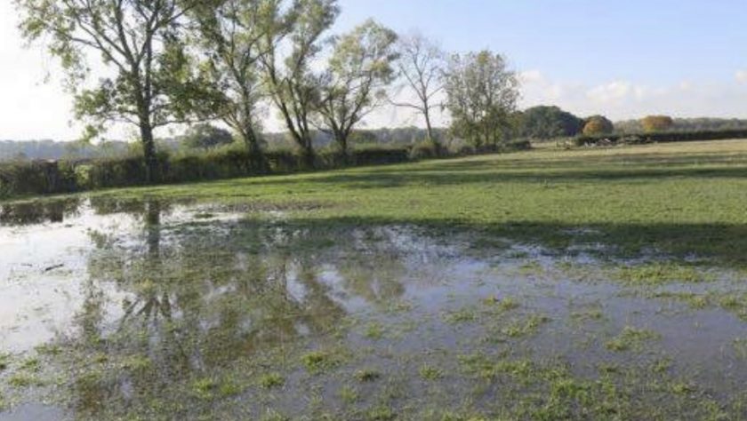 News and Info from Deeside, Flintshire, North Wales