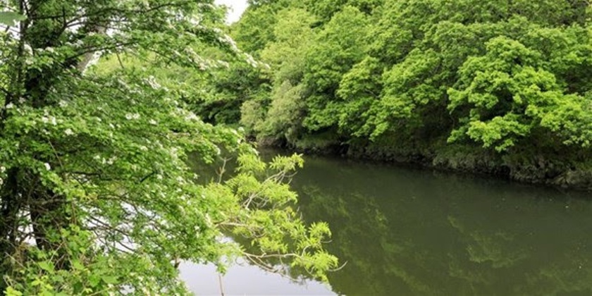 News and Info from Deeside, Flintshire, North Wales