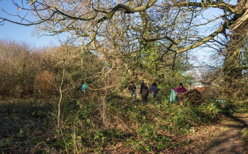 Transport for Wales embarks on an environmental mission in Flintshire