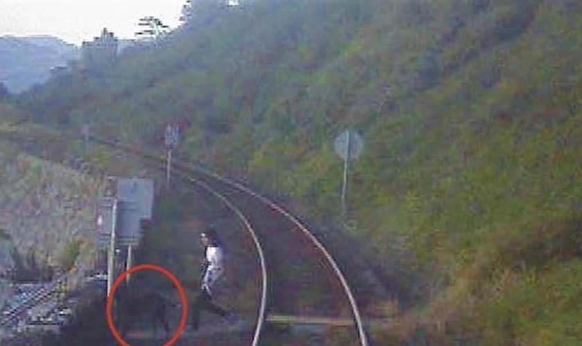 Safety warning as North Wales train driver recalls “helpless” feeling during near miss with dog walker