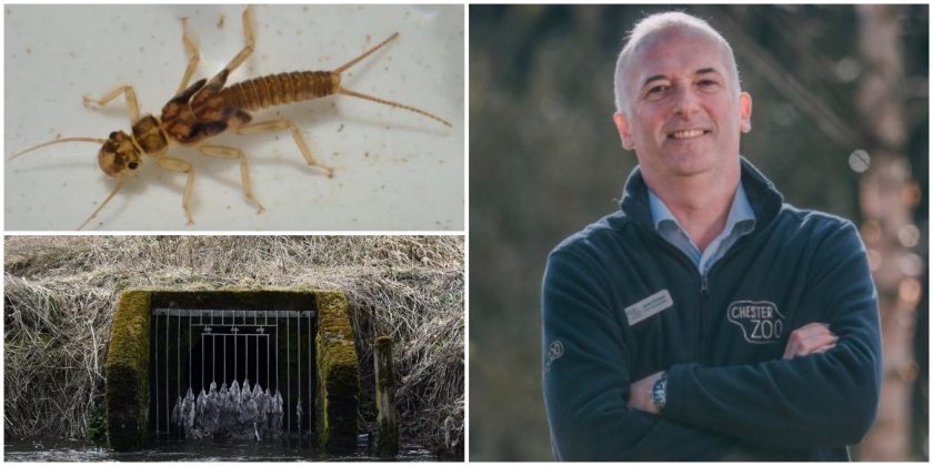 News and Info from Deeside, Flintshire, North Wales