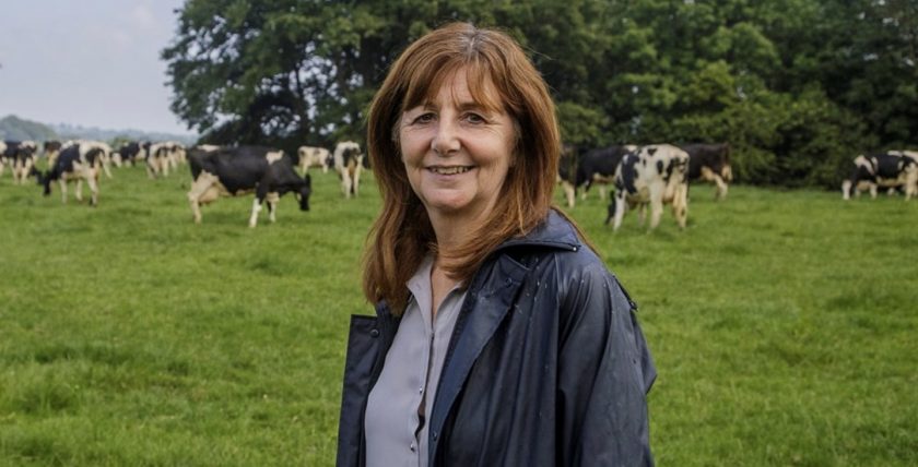 News and Info from Deeside, Flintshire, North Wales