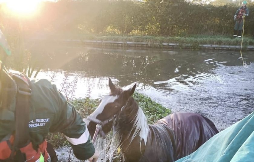 News and Info from Deeside, Flintshire, North Wales