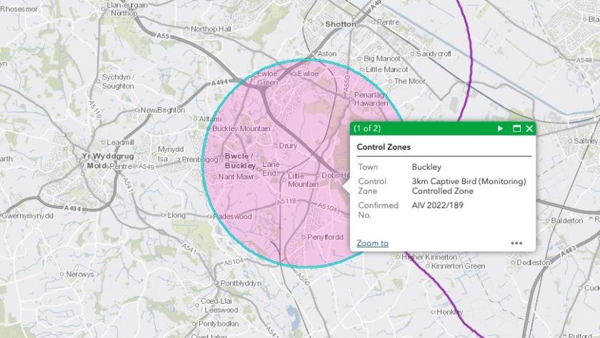 News and Info from Deeside, Flintshire, North Wales