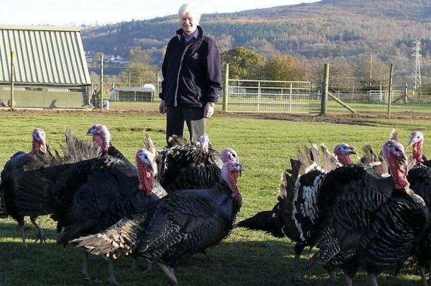 News and Info from Deeside, Flintshire, North Wales