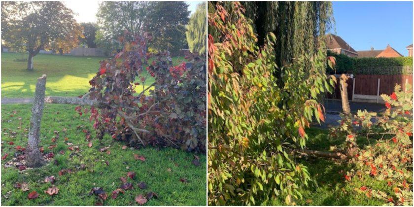 News and Info from Deeside, Flintshire, North Wales