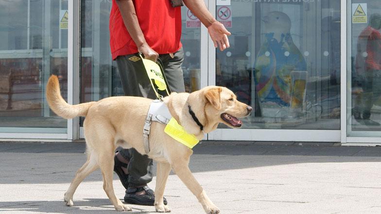 News and Info from Deeside, Flintshire, North Wales