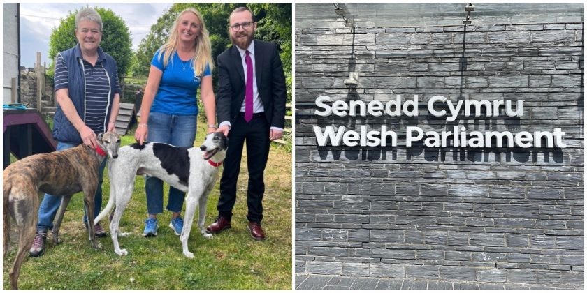 News and Info from Deeside, Flintshire, North Wales