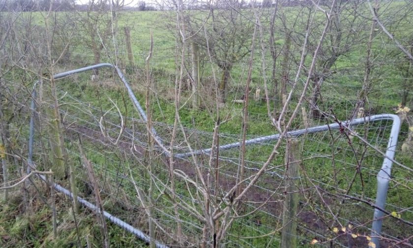 News and Info from Deeside, Flintshire, North Wales
