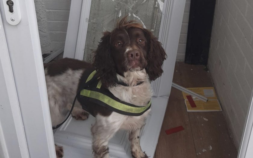 News and Info from Deeside, Flintshire, North Wales