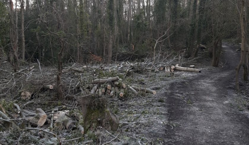 News and Info from Deeside, Flintshire, North Wales