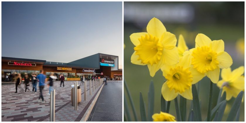News and Info from Deeside, Flintshire, North Wales