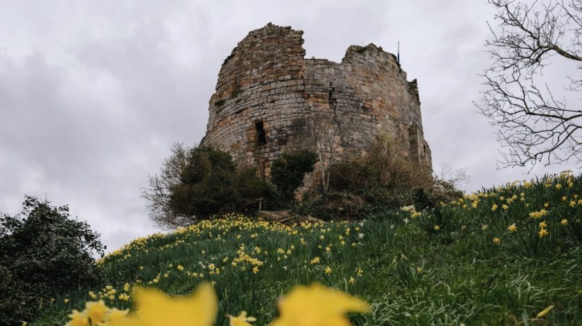 News and Info from Deeside, Flintshire, North Wales