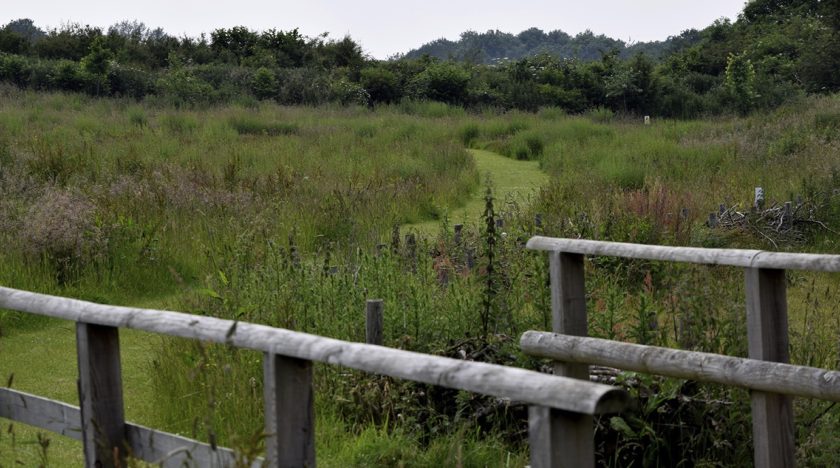 News and Info from Deeside, Flintshire, North Wales