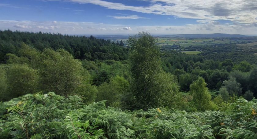 News and Info from Deeside, Flintshire, North Wales