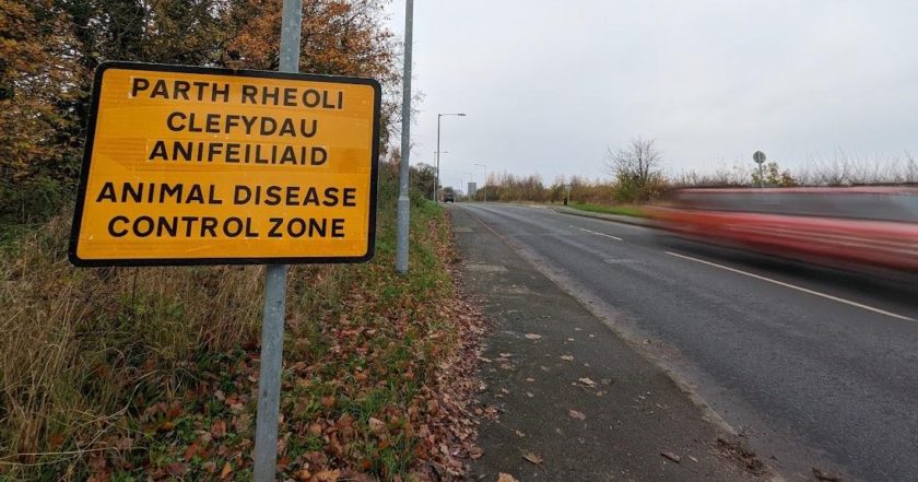 News and Info from Deeside, Flintshire, North Wales
