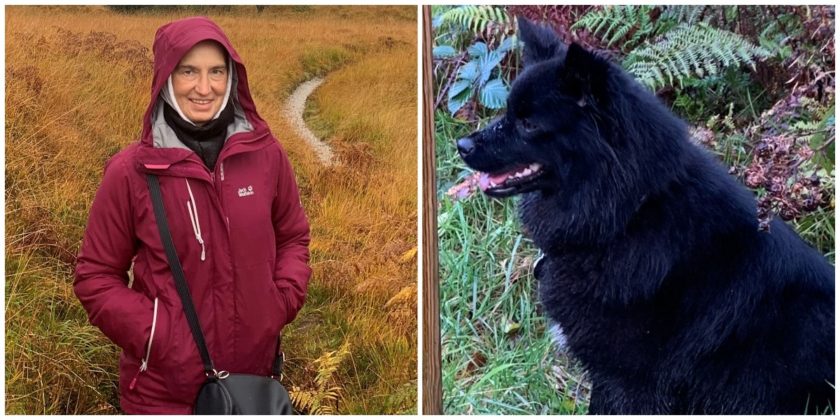 News and Info from Deeside, Flintshire, North Wales
