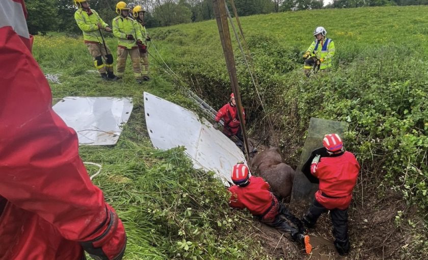 Fire Crews and vets assist in horse rescue near Deeside border