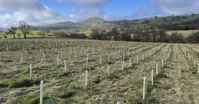 News and Info from Deeside, Flintshire, North Wales