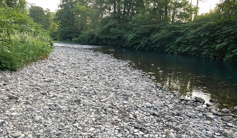 News and Info from Deeside, Flintshire, North Wales