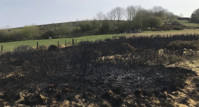 News and Info from Deeside, Flintshire, North Wales