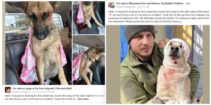 News and Info from Deeside, Flintshire, North Wales