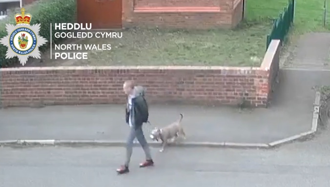 News and Info from Deeside, Flintshire, North Wales