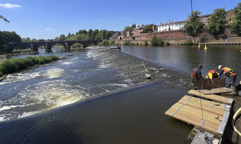 River Dee restoration boosts juvenile fish survival