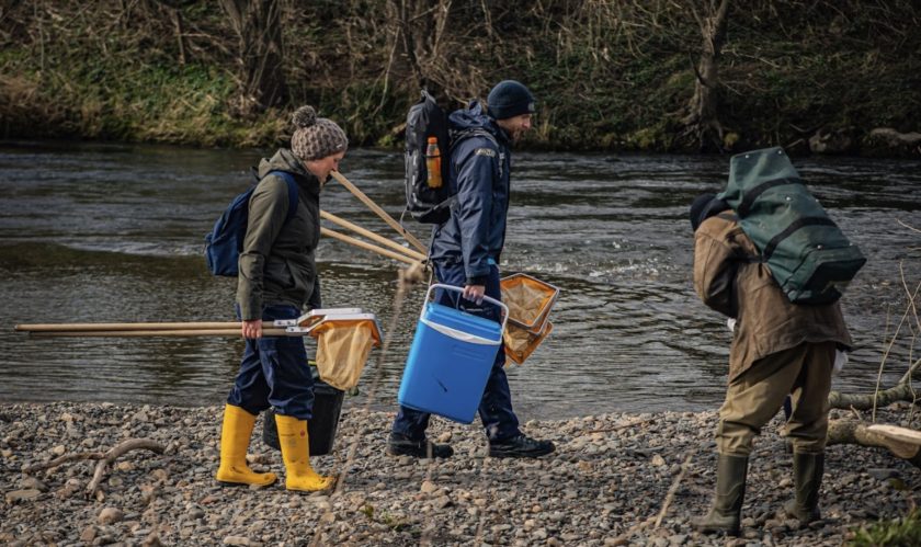 News and Info from Deeside, Flintshire, North Wales