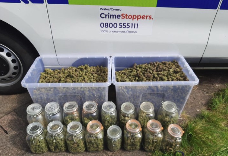 News and Info from Deeside, Flintshire, North Wales