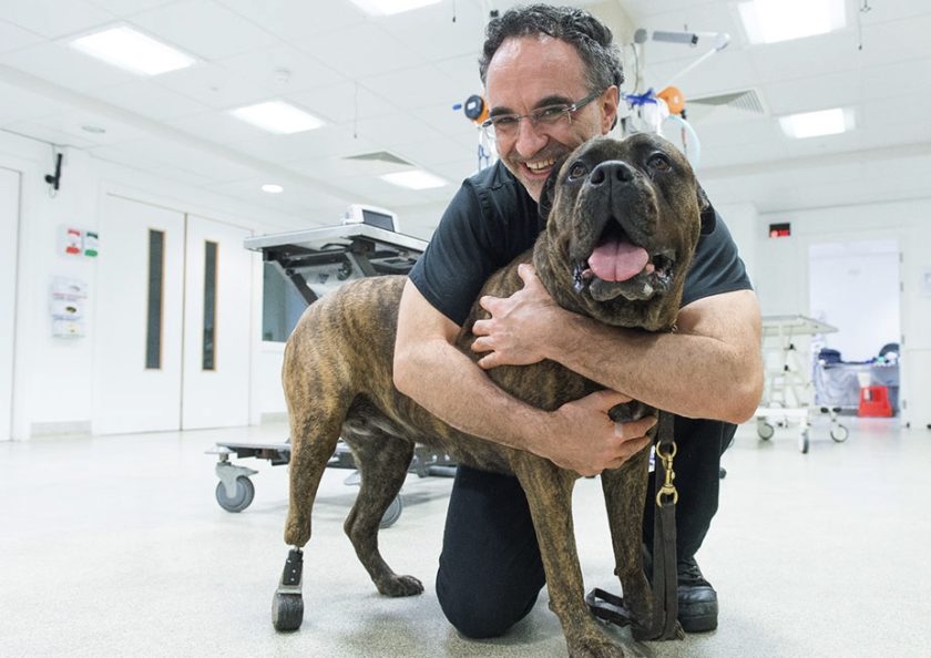 Wrexham: The Supervet Noel Fitzpatrick comes to William Aston Hall this November