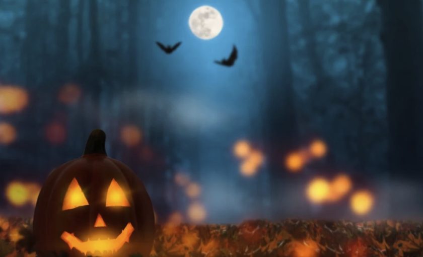 Explore the chilling legends of Wepre Park on a special self-led trail