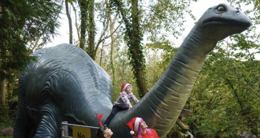 Own a 37-foot long dinosaur for Christmas and help raise funds for the Wales Air Ambulance